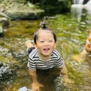 명문유치원 | 이솝유치원 🌳더운 날씨에도 숲산책은 즐거움 가득!