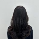 살롱이유 이미지