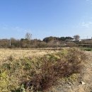 반촌1리 이미지