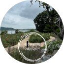 오페라 | 행주산성 베이커리카페 오페라디바스 후기