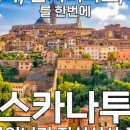 투어몬 - 서초구 | 투어몬