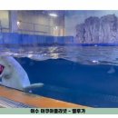 중앙동241 이미지