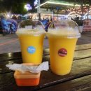 할로나J 이미지