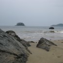 연포해수욕장(송림) 이미지