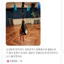 군농협 사거리 | [중랑 필라테스] 후기가 말해주는 효과 확실한 운동