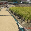 의령예술촌(야외) 이미지