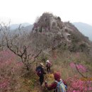 진달래화원 이미지