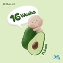 한림대학교 강남성심병원 | 기록2 | 2차 기형아검사 &amp; 정밀초음파 &amp; 자궁경부길이 짧음 이슈,한림대학교강남성심병원 방문 (16주~20주)