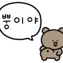 비토애럭셔리글램핑산청점