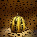 본태박물관 이미지