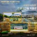 고인돌공원(동절기) | 아침에 일어나 갑자기 찾아간 낯선 곳, 고창 고인돌박물관 방문 후기