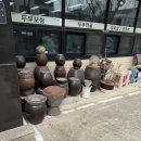 운남로154번길 | 운남동 청국장 두부요리 맛집 콩사랑 내돈내산 후기