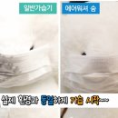 먹물 노트포럼