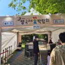낙민공원 | 일산호수공원 2026년 "고양국제꽃박람회"│47개월 아이랑 가족 나들이 추천