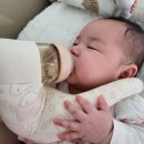 김말남 | 단유이야기2