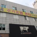 강남수기요법센터 이미지