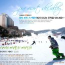파인리조트 이미지