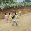 숲소리어린이집 이미지