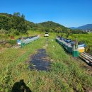 벽진농장 이미지