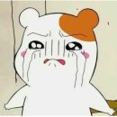 고로고로
