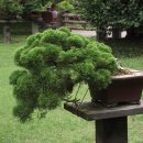 (주)한림 이미지