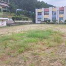 남양주월문초등학교 이미지