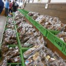 농산물판매장 이미지