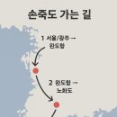노화읍-4 | [여행후기] 전남 완도 손죽도 가는 길 – 배 타고 떠나는 비밀섬 트립!(손죽도 트레킹, 낚시, 여정...