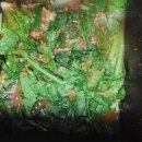 몽실하우스 이미지