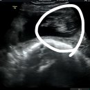 수지미래산부인과의원 이미지