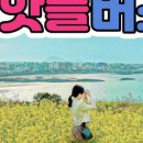 제주테마투어 이미지