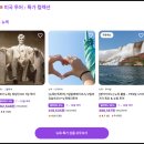 줌줌투어 주식회사