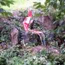 장수로19번길 이미지