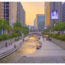 스틸랜드관리단 이미지