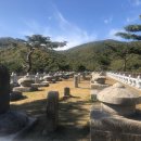 태실농장 이미지