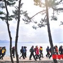 남해-263 이미지