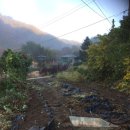 수입천계곡펜션 이미지