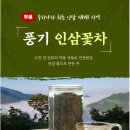 인삼꽃 이미지