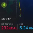 잼짐(GEM GYM) | 여행 :: 3월 사누르 일출 시간 / 안다즈 발리 킹베드룸 수영장 전망 룸 &amp; 헬스장 후기 / 사누르 러닝 코스