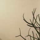 이노 커피(inno coffee) 이미지