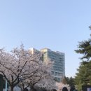 봉봉봉