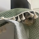 겨울맞이 준비 중