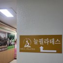 늘필라테스 - 고양시 덕양구 향기로 119 | 주엽역필라테스 늘필라테스 수업 받아본 후기