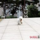 똥꼬발랄 Daum카페