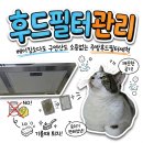 그루밍 멍 | 과탄산소다로도 안 닦이는 주방 후드 찌든 때, 알루미늄 필터 교체와 부직포 커버 후기