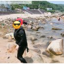 창포곶펜션 이미지