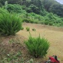 나산농장 이미지