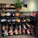 영월 인 더 나이트 | 싱가포르 나이트 사파리·버드 파라다이스 번들 입장권 총정리｜NOL 티켓 예매·사용법