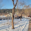 한반도섬 이미지