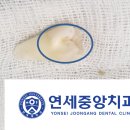 연세중앙치과의원 이미지
